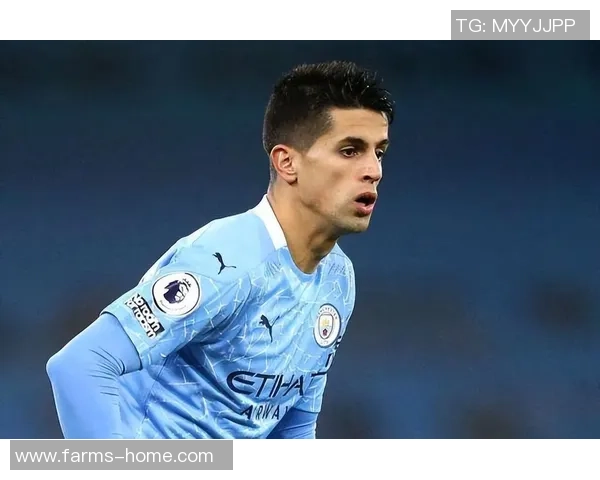 坎塞洛：从边缘球员到世界级后卫的华丽转身与职业生涯新篇章