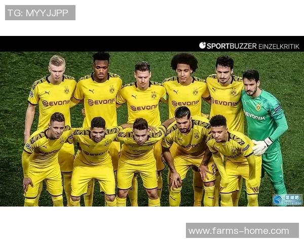 桑乔的足球之路：从天才少年到国际舞台的璀璨明星