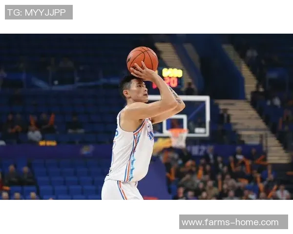 陈林坚的篮球之路:从青涩少年到职业球员的成长历程与奋斗故事