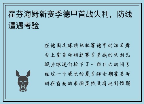 霍芬海姆新赛季德甲首战失利，防线遭遇考验